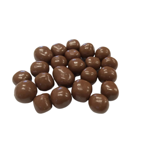 Chocolate Covered Fudge 