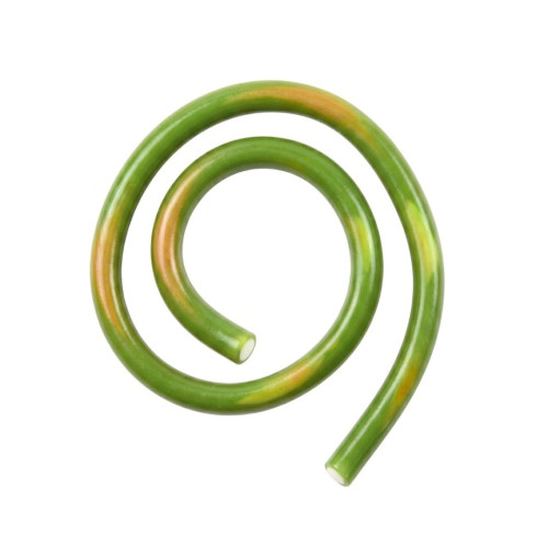 6kg Candycrave Giant Watermelon Cables