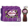 Ribena Blackcurrant Fruit Drink 12x500ml