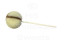 Dobsons Salted Caramel Mega Lollies